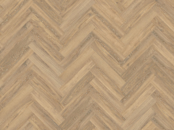 Authentic Parva Oak XL – Piedmont