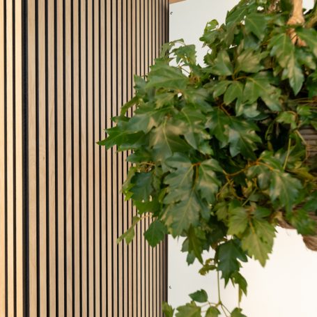 Floer Akupanel XL wandpanelen -- Onbehandeld Eiken
