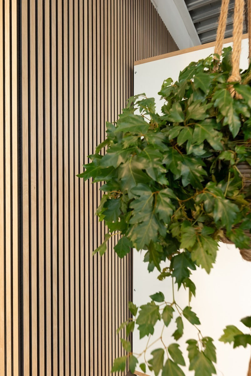 Floer Akupanel XL wandpanelen -- Onbehandeld Eiken