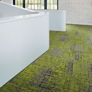 Moss