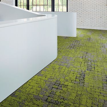 Moss