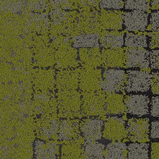 Moss