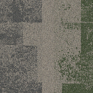 Open Air 403 Transition