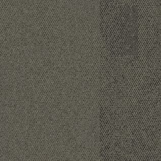 Paver