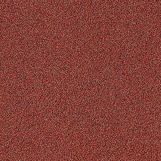 Touch & Tones II 101