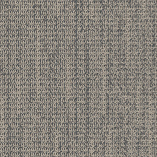 WG100